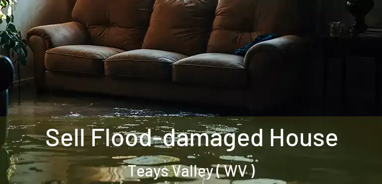  Sell Flood-damaged House Teays Valley ( WV )