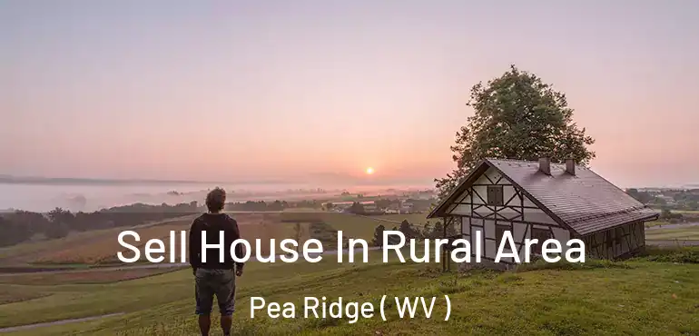  Sell House In Rural Area Pea Ridge ( WV )