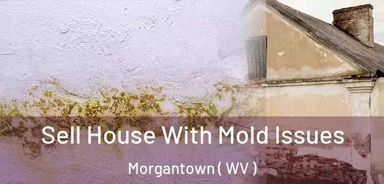  Sell House With Mold Issues Morgantown ( WV )